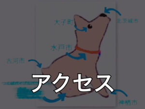 アクセス