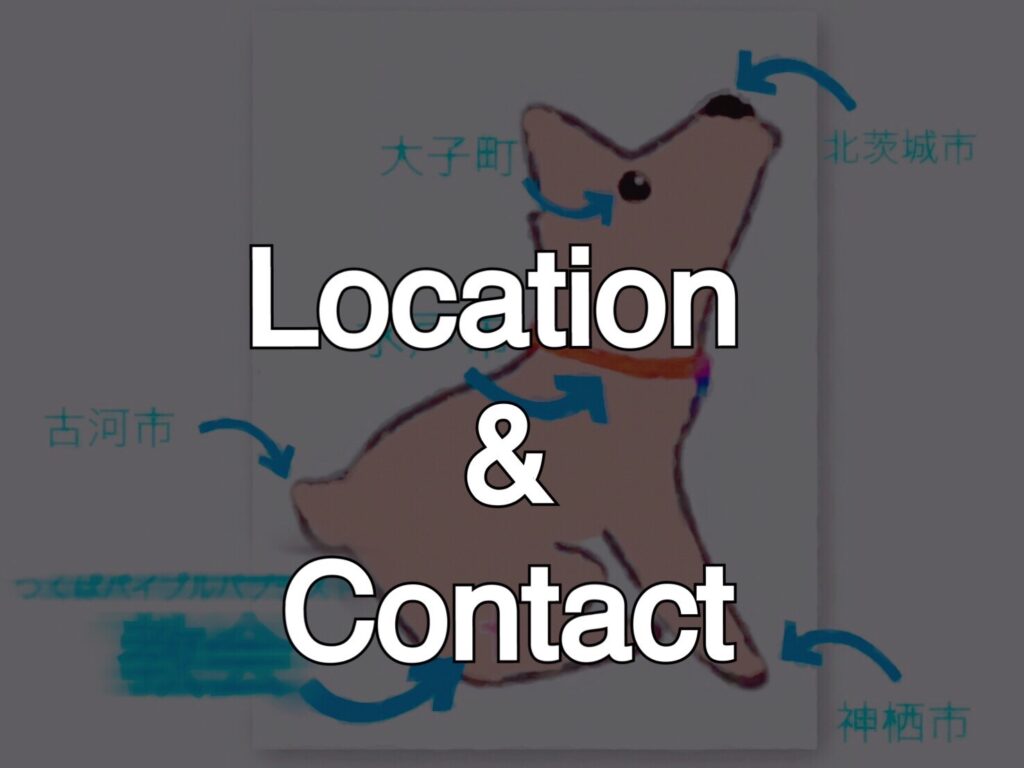 Location & Contact