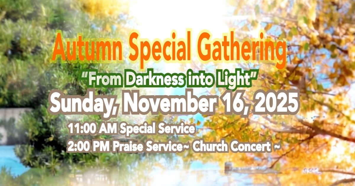 Sunday, November 16, 2025